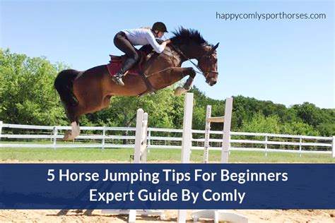 horse training tips for beginners